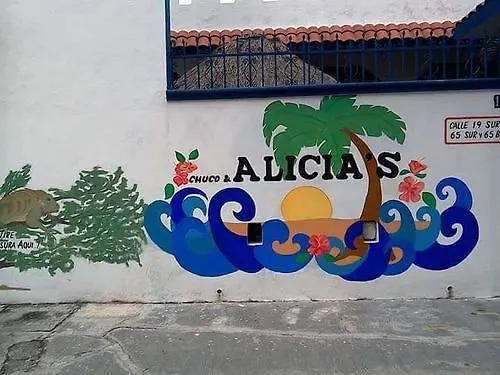 Alicia'S Bed & Breakfast Cozumel 0*,