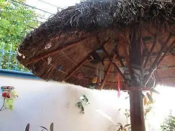 Alicia'S Bed & Breakfast Cozumel 0*,  Mexico