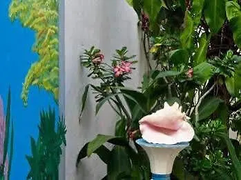 Hotel Alicia'S Bed & Breakfast Cozumel