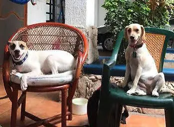 Alicia'S Bed & Breakfast Cozumel