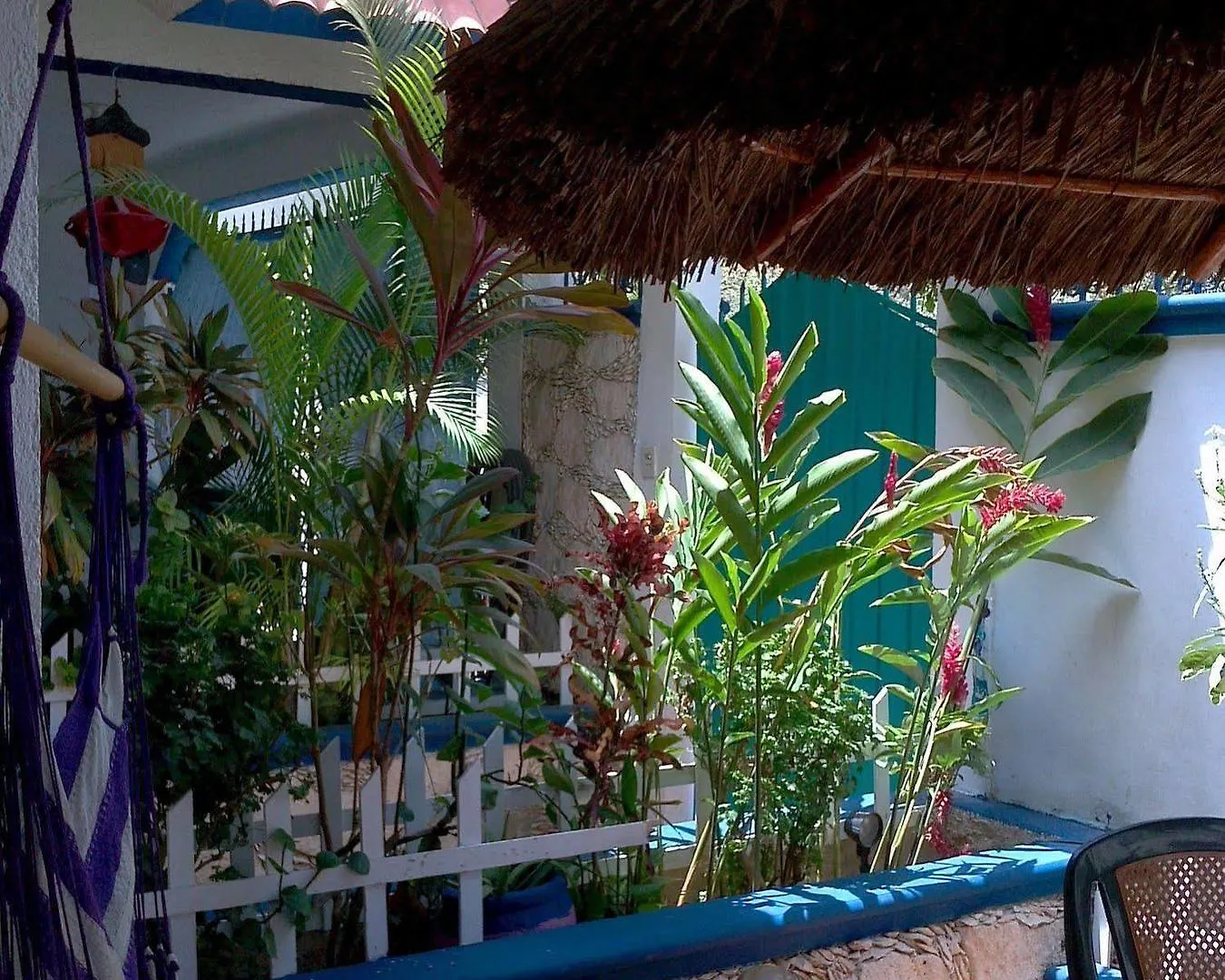 Alicia'S Bed & Breakfast Cozumel 0*,