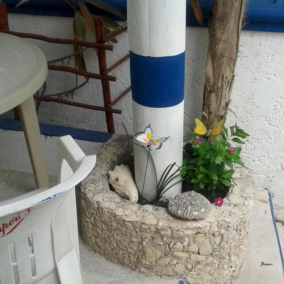 Hotel Alicia'S Bed & Breakfast Cozumel