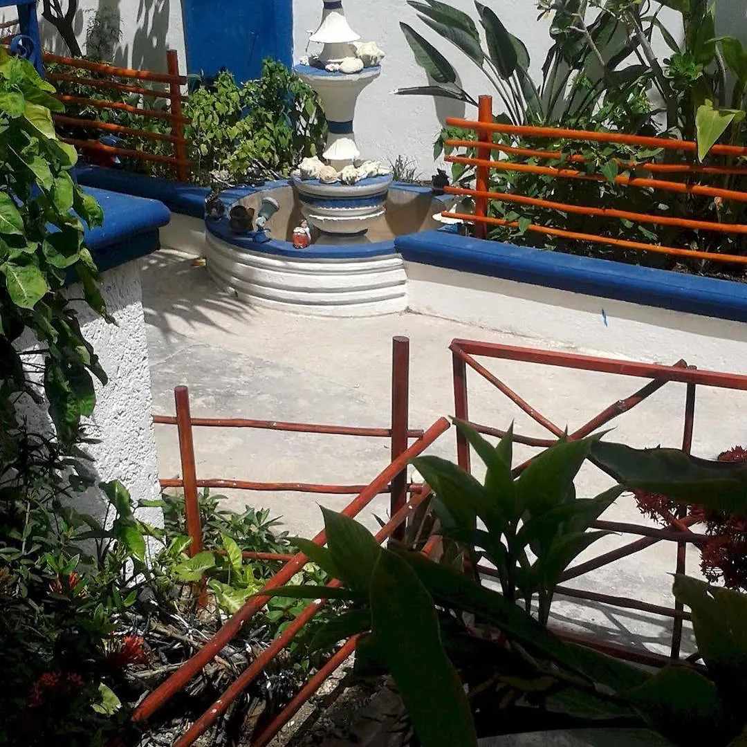 Alicia'S Bed & Breakfast Cozumel Mexico