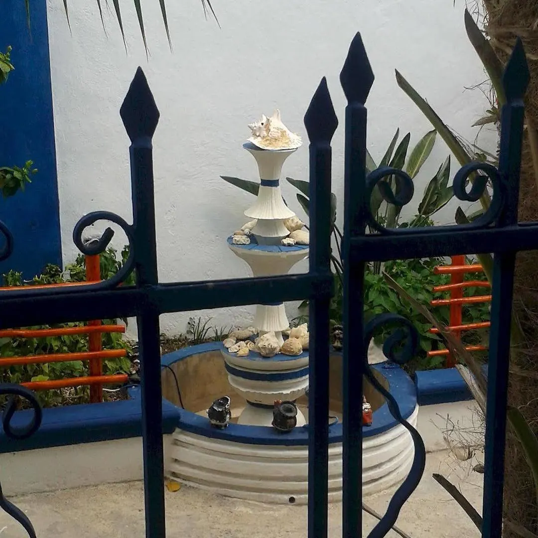 Hotel Alicia'S Bed & Breakfast Cozumel Mexico