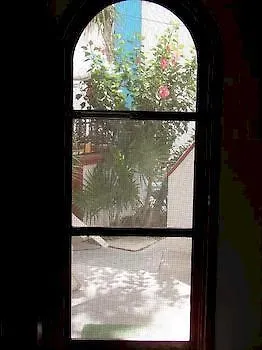 Alicia'S Bed & Breakfast 科苏梅尔 0*,  墨西哥