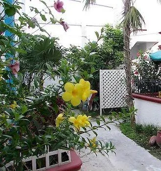 Alicia'S Bed & Breakfast 科苏梅尔 酒店