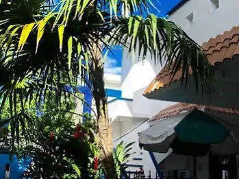 Alicia'S Bed & Breakfast Cozumel Mexique