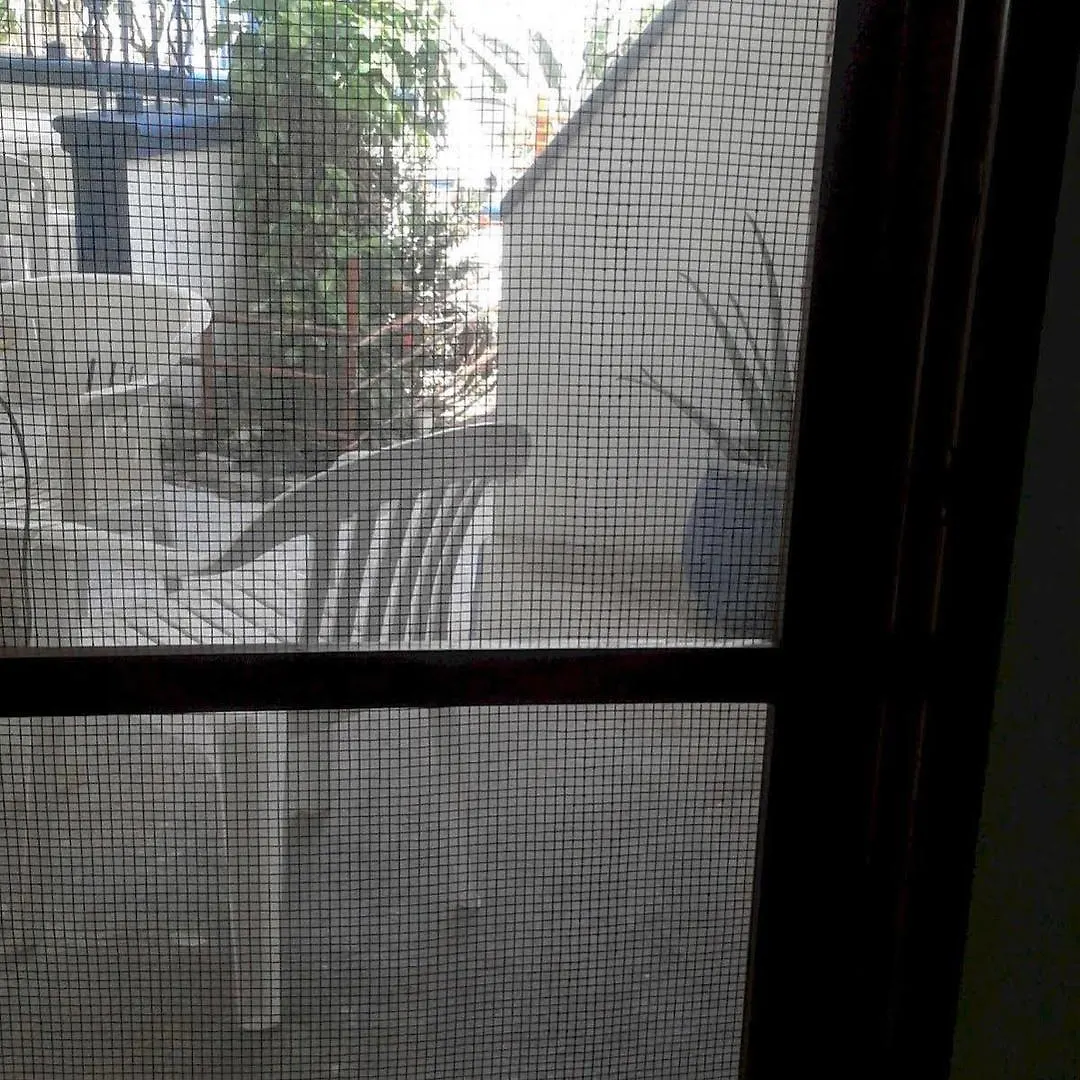 Alicia'S Bed & Breakfast Cozumel 0*,  Mexique